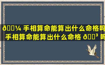 🐼 手相算命能算出什么命格吗（手相算命能算出什么命格 🐳 吗女）